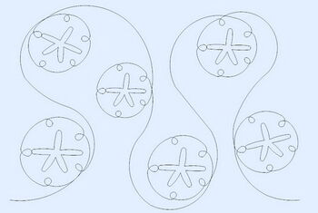 Sand-Dollars.JPG