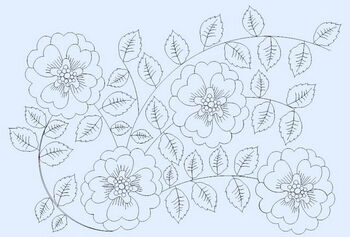 Wild-Rose-Panto.JPG